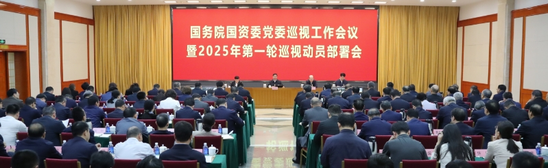 早熟品种国务院国资委党委召开巡视工作会议暨2025年第一轮巡